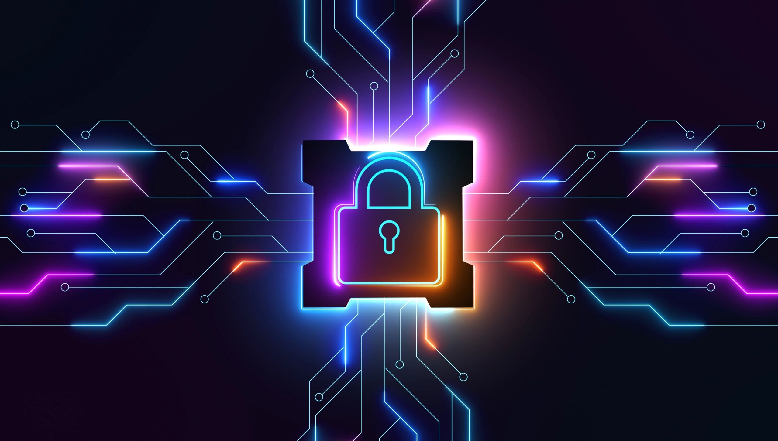 File and Data Back Ups